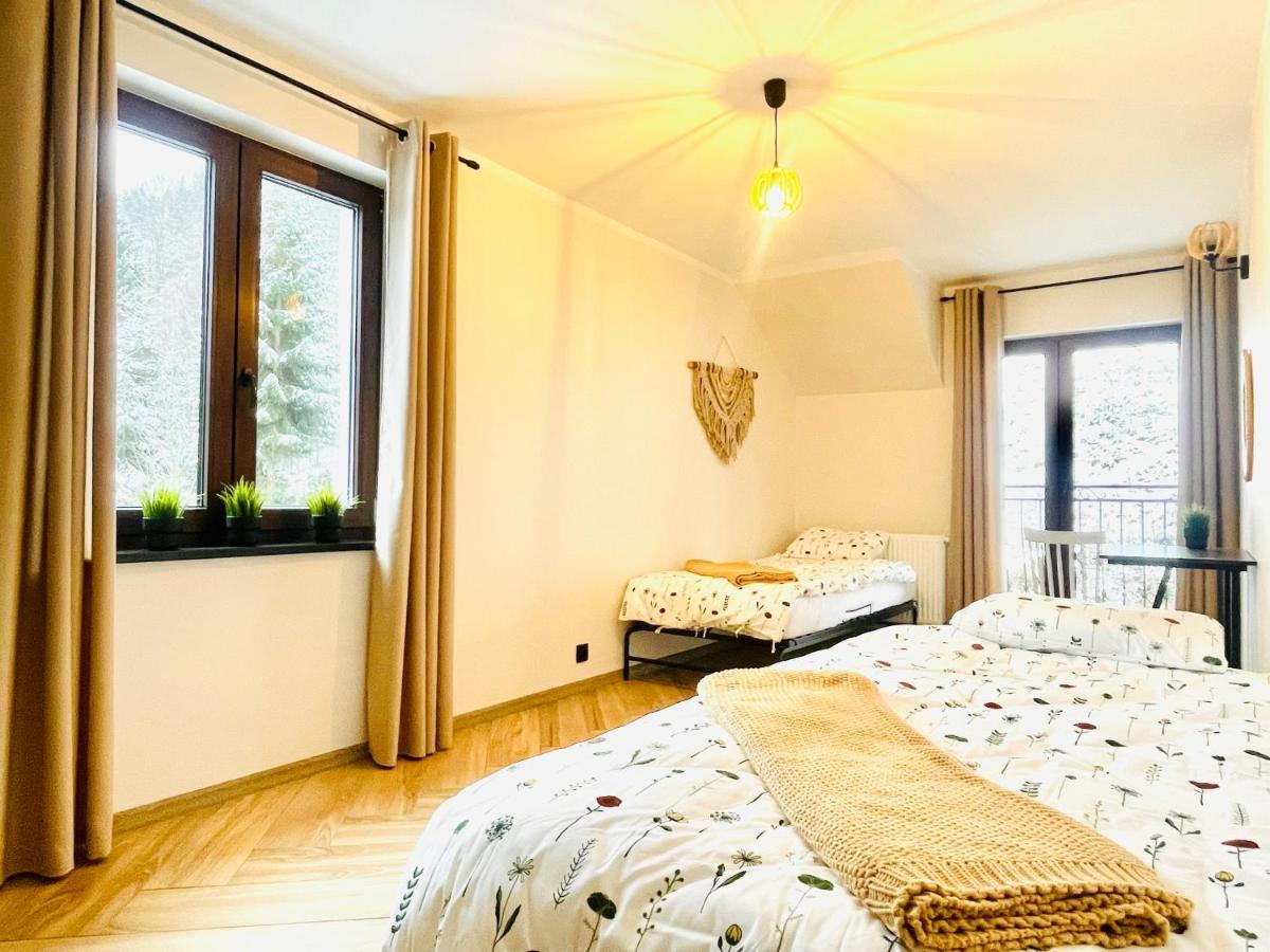 Gorska Cisza - Duzy, Komfortowy, Wyjatkowy Apartament Stronie Śląskie エクステリア 写真