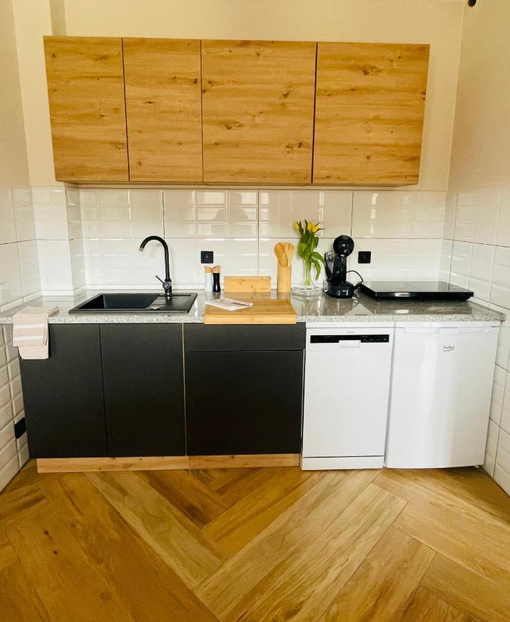 Gorska Cisza - Duzy, Komfortowy, Wyjatkowy Apartament Stronie Śląskie エクステリア 写真