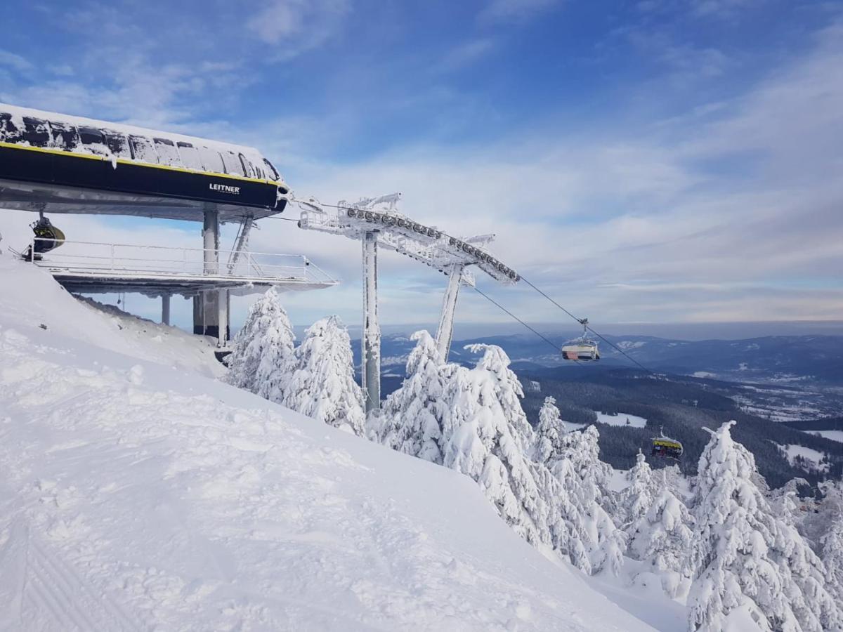 Gorska Cisza - Duzy, Komfortowy, Wyjatkowy Apartament Stronie Śląskie エクステリア 写真