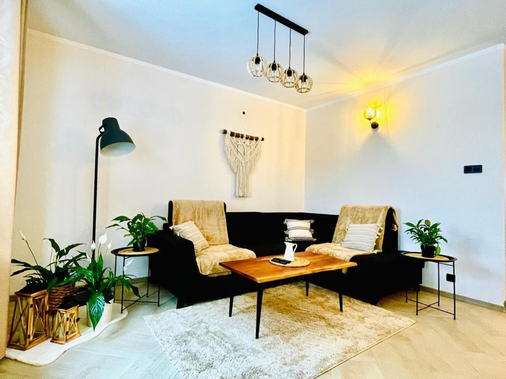 Gorska Cisza - Duzy, Komfortowy, Wyjatkowy Apartament Stronie Śląskie エクステリア 写真