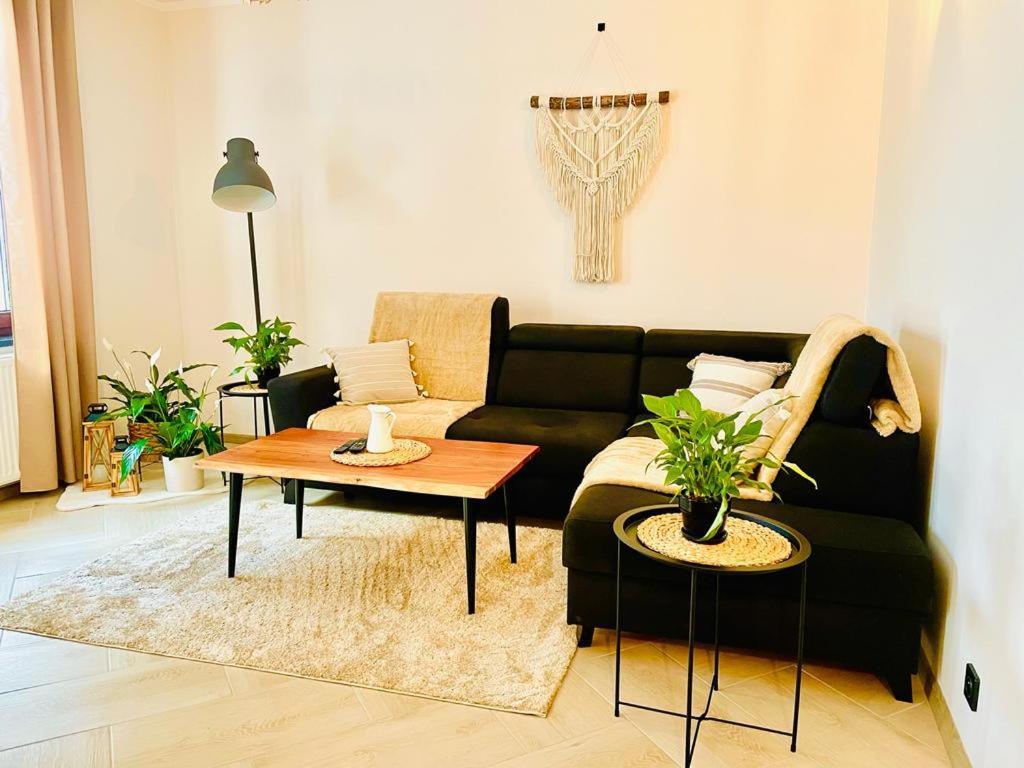 Gorska Cisza - Duzy, Komfortowy, Wyjatkowy Apartament Stronie Śląskie エクステリア 写真