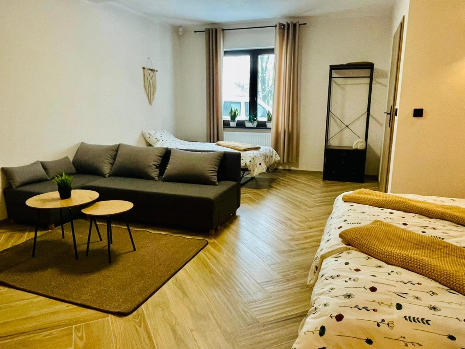 Gorska Cisza - Duzy, Komfortowy, Wyjatkowy Apartament Stronie Śląskie エクステリア 写真