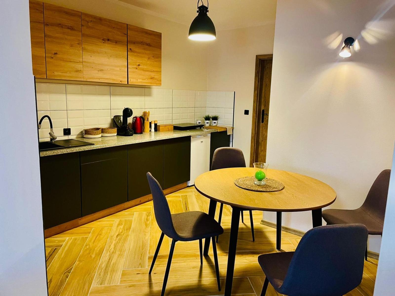 Gorska Cisza - Duzy, Komfortowy, Wyjatkowy Apartament Stronie Śląskie エクステリア 写真