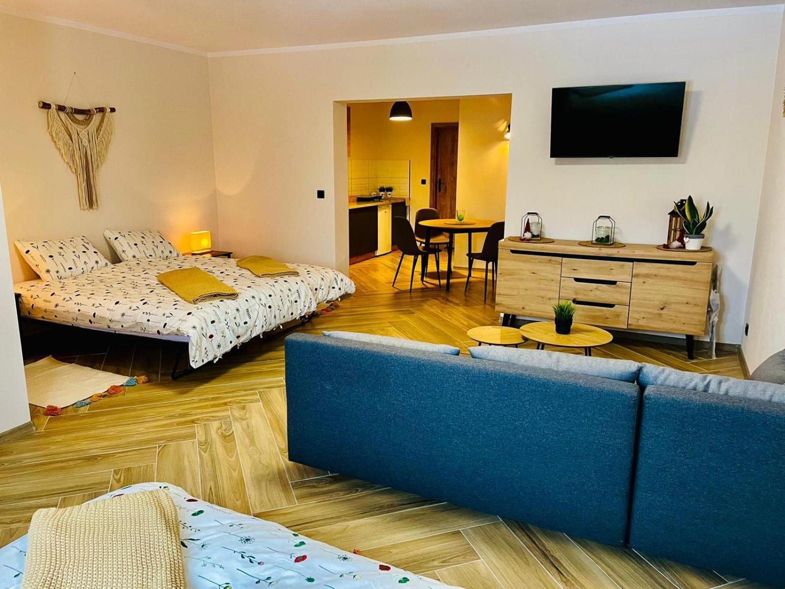 Gorska Cisza - Duzy, Komfortowy, Wyjatkowy Apartament Stronie Śląskie エクステリア 写真