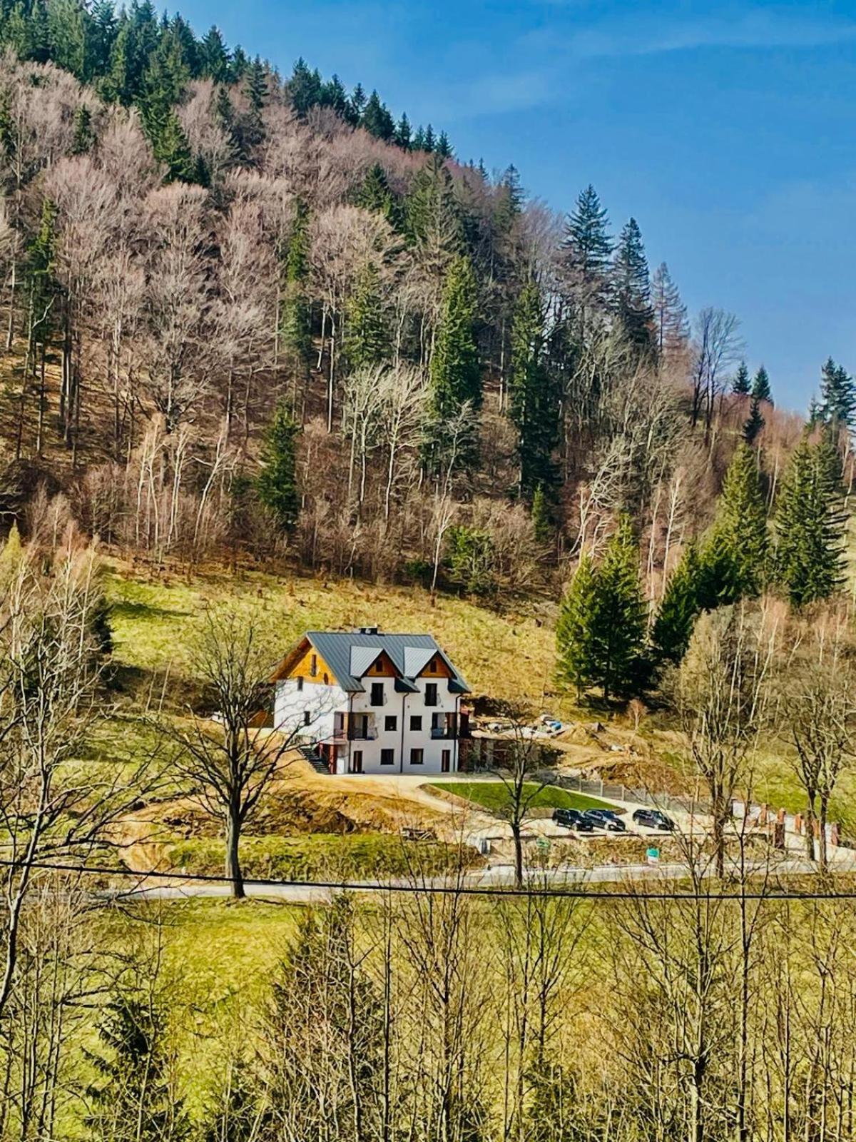 Gorska Cisza - Duzy, Komfortowy, Wyjatkowy Apartament Stronie Śląskie エクステリア 写真