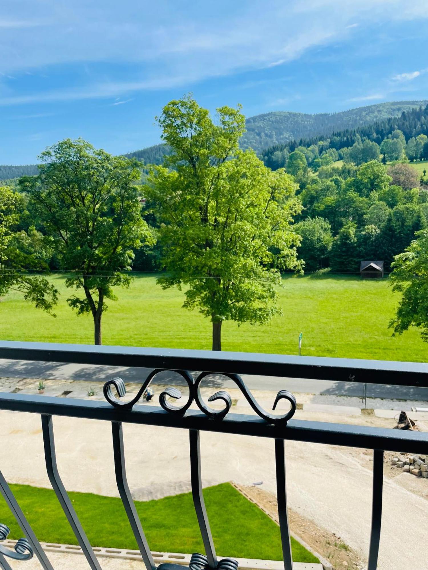 Gorska Cisza - Duzy, Komfortowy, Wyjatkowy Apartament Stronie Śląskie エクステリア 写真