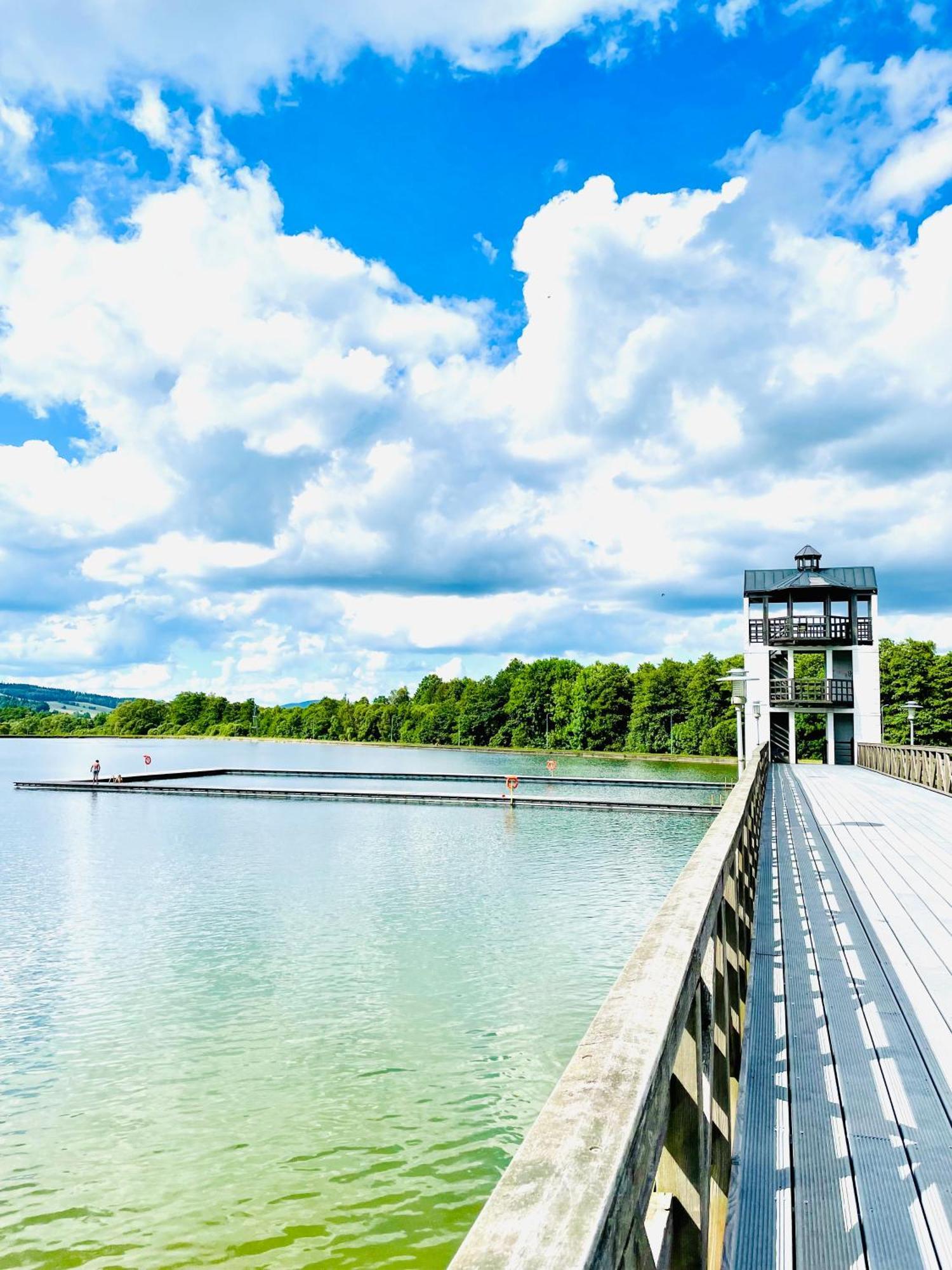 Gorska Cisza - Duzy, Komfortowy, Wyjatkowy Apartament Stronie Śląskie エクステリア 写真