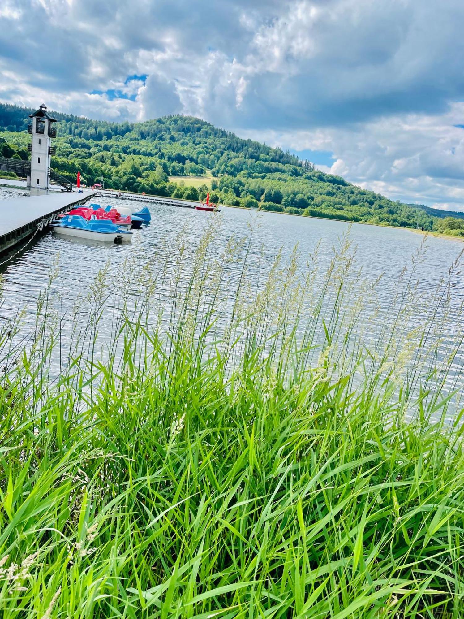 Gorska Cisza - Duzy, Komfortowy, Wyjatkowy Apartament Stronie Śląskie エクステリア 写真