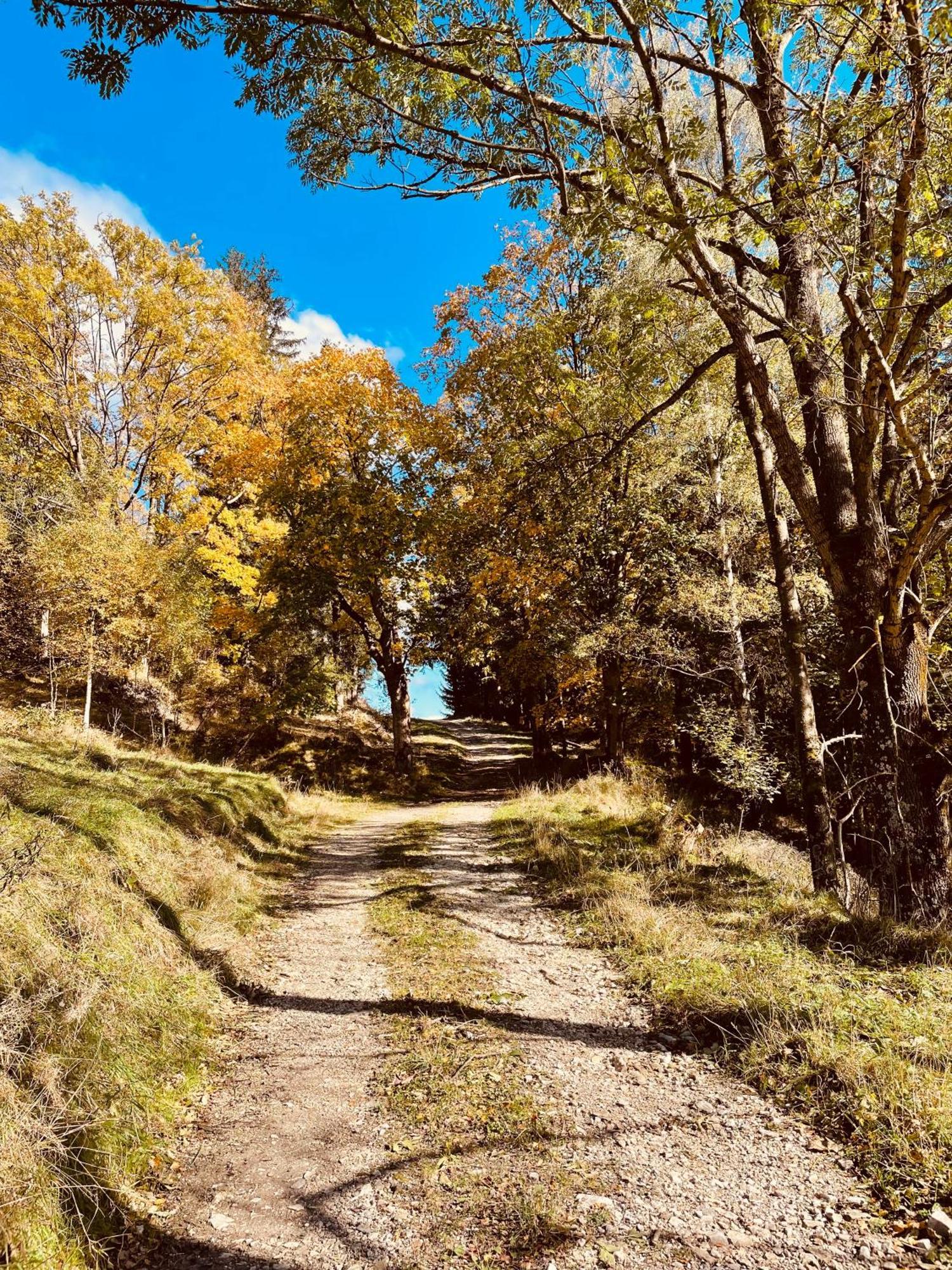 Gorska Cisza - Duzy, Komfortowy, Wyjatkowy Apartament Stronie Śląskie エクステリア 写真